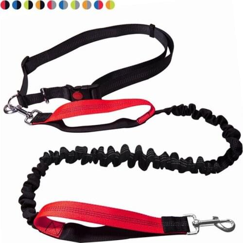 Dogs Leash Running Elasticity Hand Freely Reflective Pet Accessories Dogs Harness Collar Jogging Lead and Adjustable Waist Rope