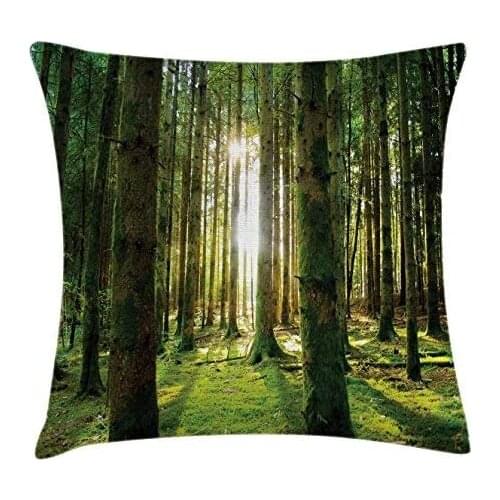 Pooizsdzzz Fore Throw Pillow Cushion Cover, Scenic Scenery with Sunbeams in The Fore Sunny Summer Day Morg View