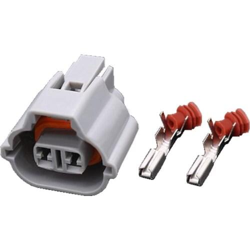 2 Pin Automotive Wiring Harness Connector Plug Connector With Terminal DJ7027A-2.2-21