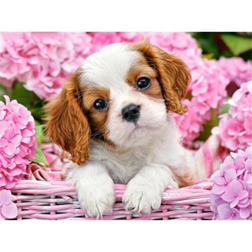 DIY 5D Diamond Painting Dog & Flower Diamond Embroidery Pet Cross Stitch Kits Full Round Drill Mosaic Picture Rhinestone Decor