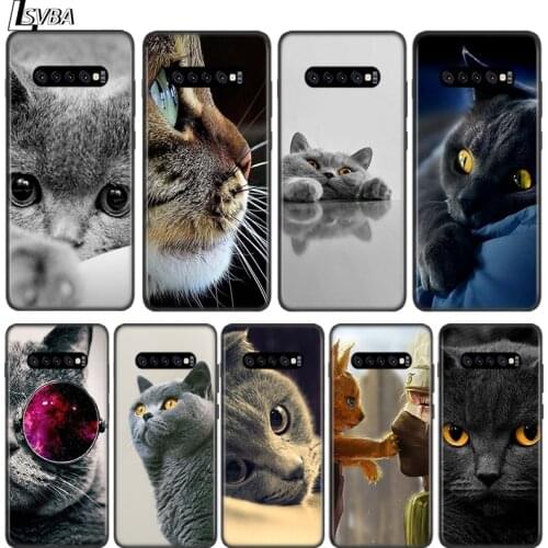 British Shorthair cat For Samsung Galaxy Note 8 9 10 20 Ultra Plus S10 S10E S9 S8 S7 S6 Plus Lite Edge Soft Phone Case