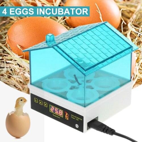 Digital Temperature 4 Eggs Small Brooder Feeder Incubator Hatcher Temperature Control Automatic Turning Hatchery Machine