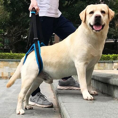 Dog Rehabilitation Lift Harness Hind Leg Mobility Support Harness with Sling