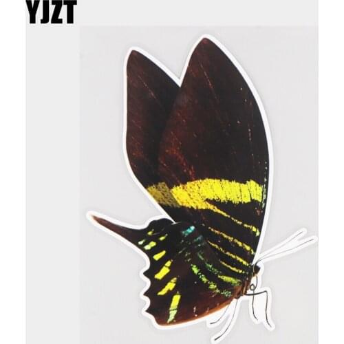 YJZT 12.6×16.9CM Resting Butterfly Creative Bumper Decoration Scratch Occlusion Car Sticker 21A-1303