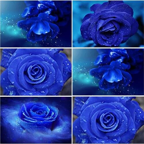 5D Diamond Painting Landscape Flower Cross Stitch Kit Full Drill Embroidery Mosaic Art Rose Picture of Rhinestones Home Decor