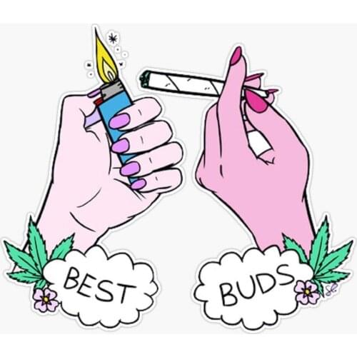 For Best Buds (Weed) Vinyl Waterproof Sticker Decal Car Laptop Wall Window Bumper Sticker