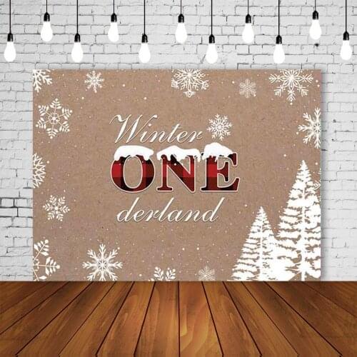 Winter Onederland Backdrop Snowflakes Boy 1st First Birthday Christmas Party Banner Northern Europe Style Portrait Background