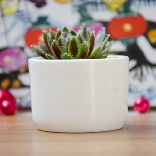 5.8x4cm Round Plant Pot Garden Planter Succulent Plant Fleshy Flower Tabletop Decorative Round Pot Box Container Office Decor