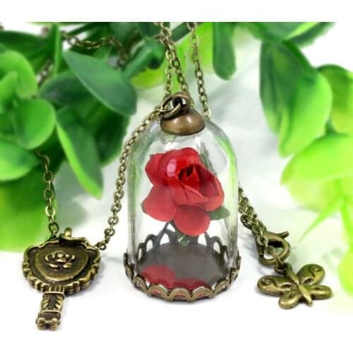 Beauty and The Beast Retro Glass Vial Necklace Butterfly Wish Accessories Necklace Red Rose Dried Flower Jewelry for Women Girls