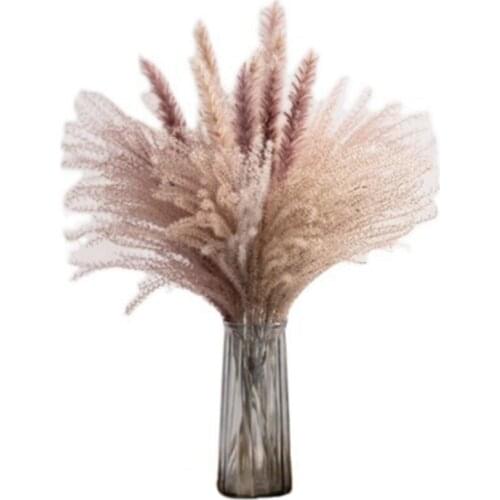 Home Decoration Pampas Grass Natural Dried Flower Decorative Dried Flowers Artificia And Living Room Decoration