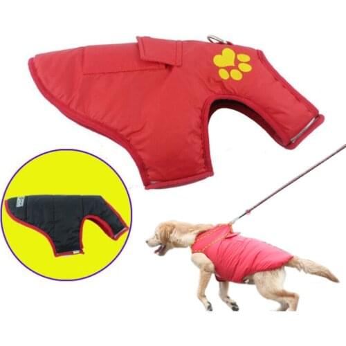 AQUAHOME Clothes And Footwear For Dogs