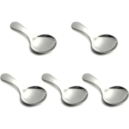 Stainless Steel Serving Spoons with Short Handle for Ice Cream, Salt, Tea, Coffee, Baby Spoons (Silver, 5 Pcs)