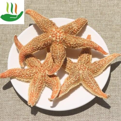 Wild Starfish, Dried Seafood and Aquatic Products, Deep-sea Starfish, Five-pointed Star, Edible Wine In Soup