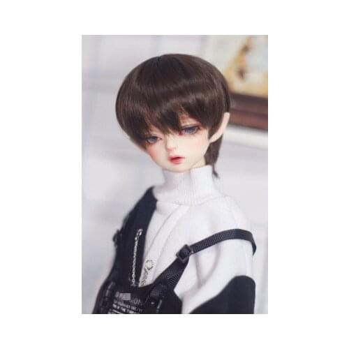 BJD doll simulation hair suitable for 1/3 1/4 1/6 size fashion male doll daily wear short hair too hair brown and white mixed
