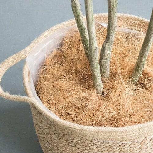 Coconut Husk Fiber Orchids Crafts Pet Bedding Insect-proof Protect Plants Maintain Soil Temperature B1