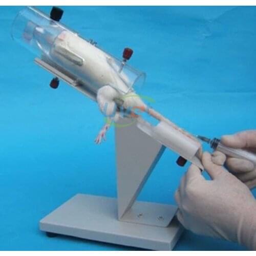 Uvet Veterinary mouse fixed Shelf mouse Tail vein injection fixed Device mouse experiment device