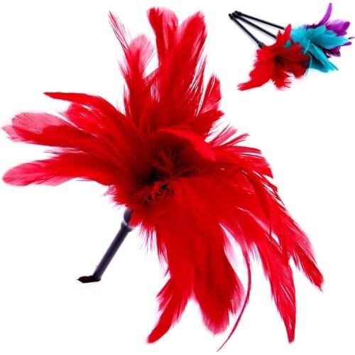 Flirting Feather Sex Spanking Whipping SM Bondage Erotic Toys Slave Feather Teasing Whip BDSM Adult Games Sex Toys For Couples