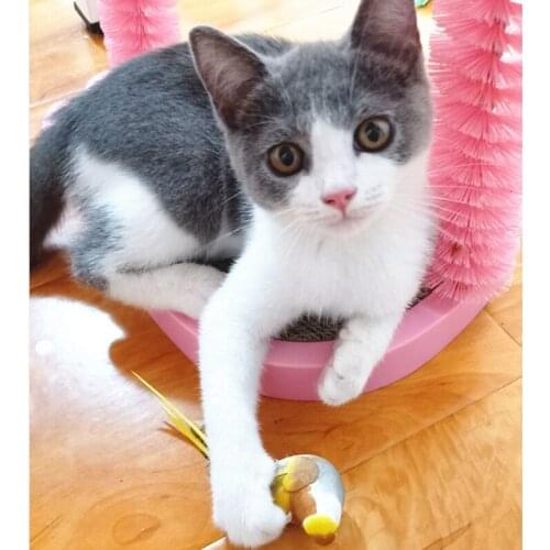 [MPK Cat Toys] Artificial Birds with Magnets, Cat Entertaining Toy