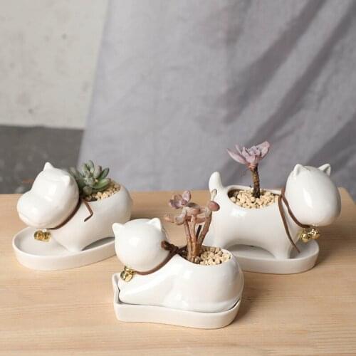 Creative Succulent Flower Pot Cute Animal Flower Flower Pot Cute Kitty Family Garden Succulent Bonsai Balcony Decoration
