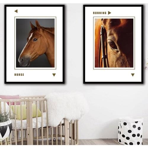 Horse Eyes Nordic Canvas Wall Painting Home Decor Picture for Living Room Home Decoration B5016