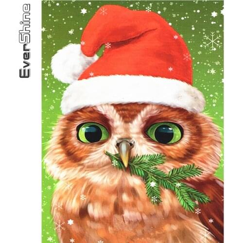 Evershine Full Square Diamond Painting Owl 5D DIY Diamond Embroidery Animal Cross Stitch Kits Mosaic Art Christmas Decorations