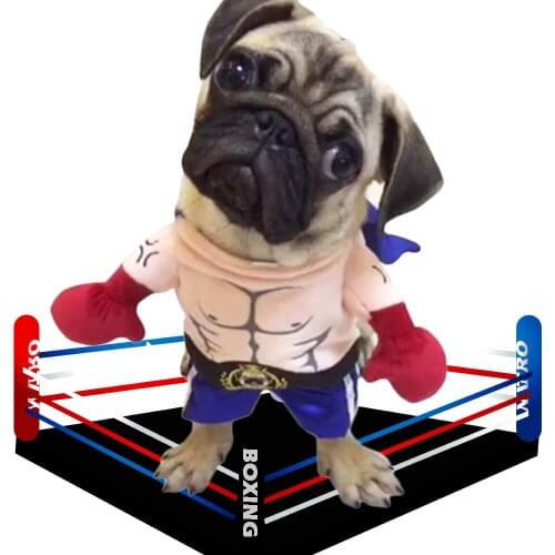 MOONBIFFY Boxing Shirts