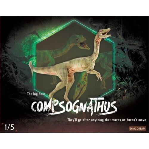 DINO DREAM 1:5 Scale Female Compsognathus Coelophysidae Dinosaur Model Collector Animal Adult Toy Gift