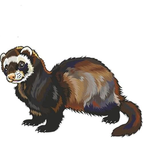 Car Sticker Cartoon Ferret Vinyl Sticker Laptop Travel Luggage Decal Waterproof Car Styling Accessories
