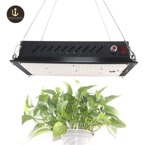 Led grow Light 120W 240W 320W AC 220V 230V 240V Outdoor Floodlight Spotlight IP65 Waterproof LED Street Lamp Landscape Lighting