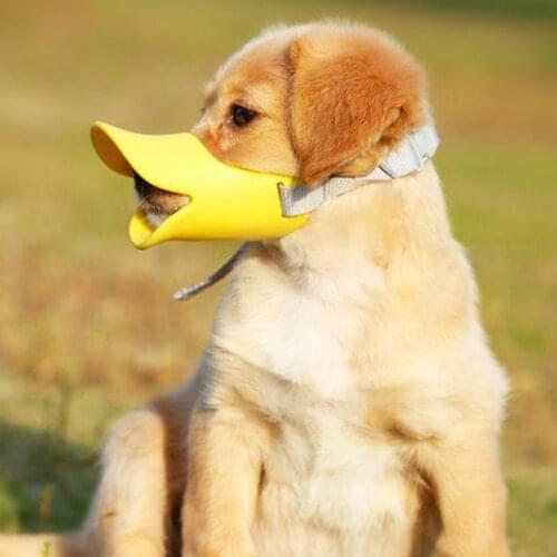 COOYOMOO Muzzles For Dogs