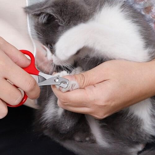 Cat Nail Clippers Pet Grooming Cats Products For Pets Animal Claw For Cats Beauty Goods For Grooming And Care Supplies Home