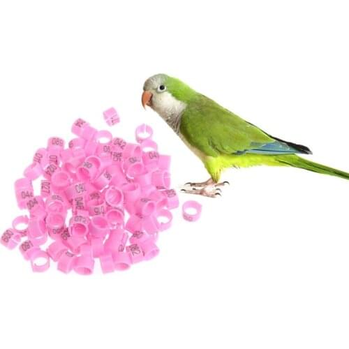 100 Pcs 8mm Identify Ring Carrier Pigeon Training Supplies Leg Number Bird Bands