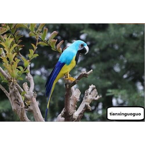 Cute simulation blue&yellow parrot model foam&furs parrot bird doll gift about 30cm