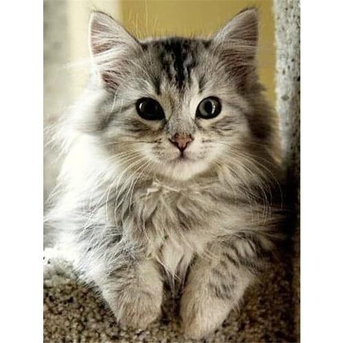 Animal Cat DIY Embroidery 11CT Cross Stitch Kits Craft Needlework Set Printed Canvas Cotton Thread Home Decoration Wholesale