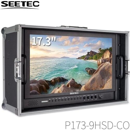 Seetec P173-9HSD-CO 17.3 Inch IPS 3G-SDI HDMI Broadcast Monitor with AV YPbPr Carry-on LCD Director Monitor with Suitcase