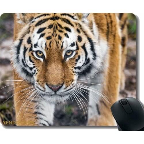 Non-Slip Rubber Gaming Mouse Pad,Tiger Predator Big Cat 172752 Non-Slip Rubber Base Mousepad