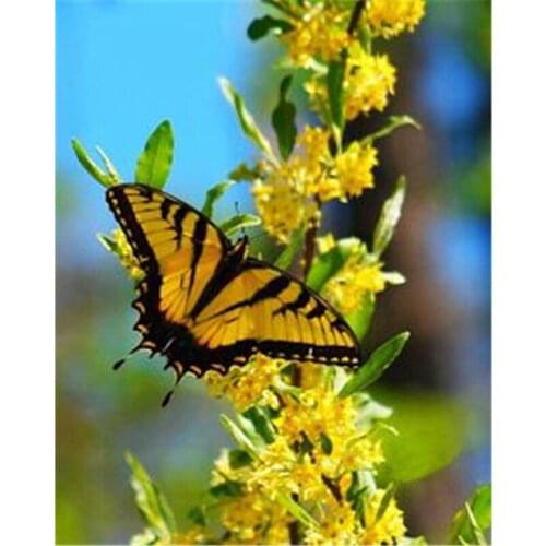 DIY Square Diamond Mosaic Diamond Painting Butterfly Flowers Cross Stitch crystal Diamond Embroidery Patterns Rhinestones A5595R