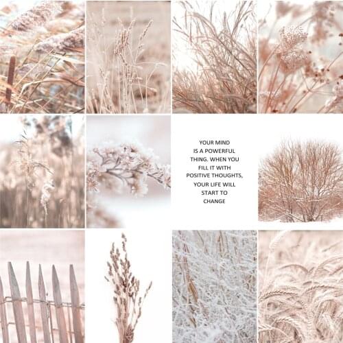 Wheat Reed Wall Art Canvas Landscape Flower Plant Painting Living Room Modern Paintings On Canvas Image Photo Nordic Poster