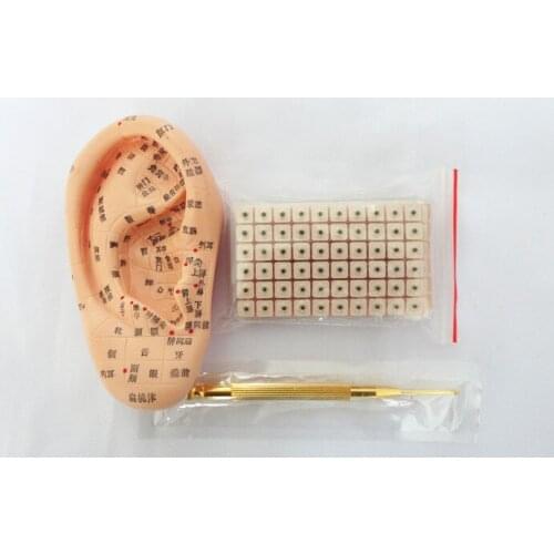 Elastic pure copper auricular probe pen+Ear mold +Auricular point chart+600pcs king does not leave the seed ear point stick