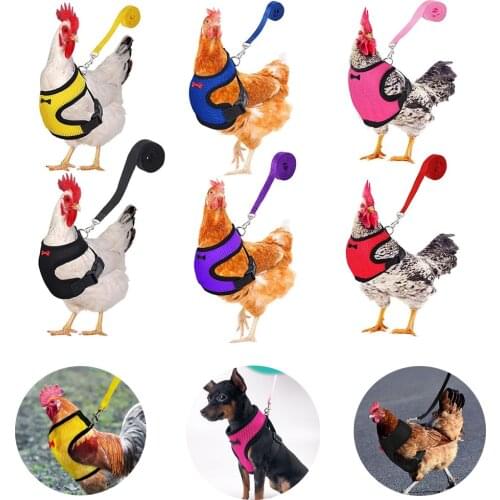 Adjustable Mesh Leashes Chicken Harness With Matching Training Breathable Pet Harness for Walking Duck Goose Hen Rooster