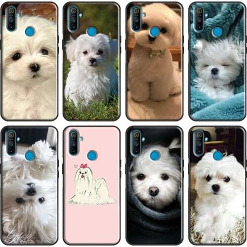 Maltese Dog Puppy Cute Case For OPPO Realme GT C3 C11 C15 XT X2 X7 6 7 Pro Phone Case For OnePlus 8T 7T 8 Pro Case