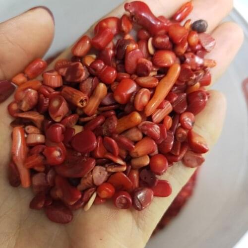 Natural Red Coral Gravel Rock Crystal Quartz Mineral Specimen Fish Tank Garden Flowerpot Decoration Energy Stones