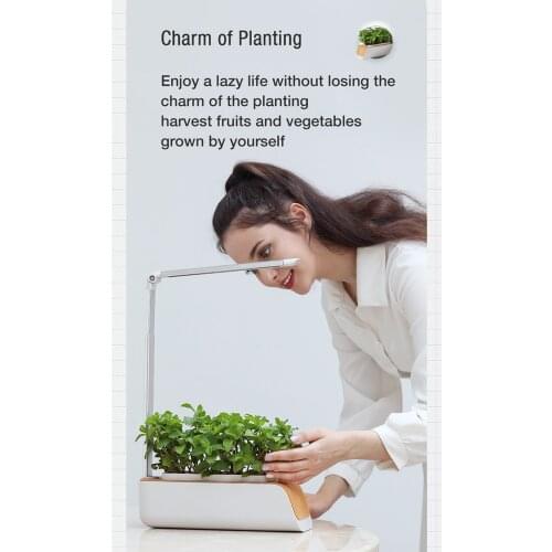 Automatic Indoor Smart Garden Planter LED Grow Light Kits Fr Home Kitchen