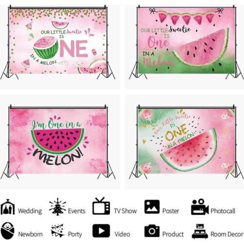 Sweet Watermelon Backdrop Photography Background Photo Booth Studio Decor