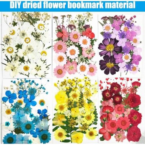 HOT Pressed Flower Handmade Mixed Dried Flowers Material for DIY Aromatherapy Candles Greeting Card Epoxy Craft Earrings NDS