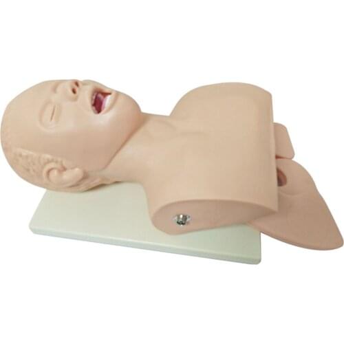 Intubation Manikin Study Teaching Model Airway Management Trainer PVC with Teeth