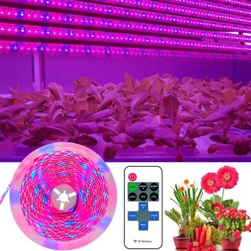 Phyto LED Plant Light LED Strip Growth Lamp 2835 Full Spectrum Hydroponic Tape for Seeds Plants Grow Greenhouses Waterproof