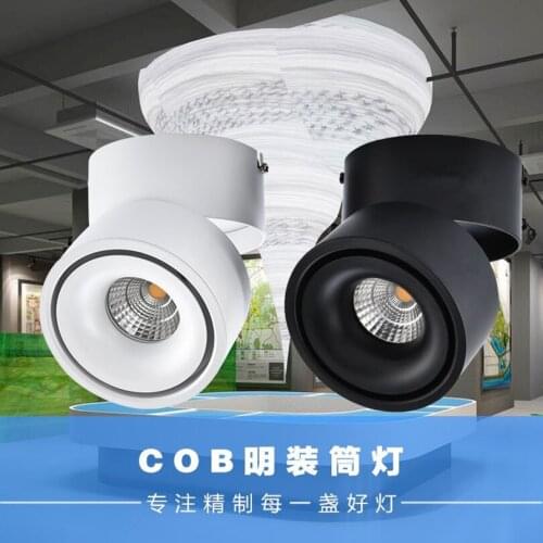 Dimmable LED Downlights 15W 20W High Quality Indoor Lighting Adjustable Surface Mounted LED Ceiling Lamps AC110V/220V