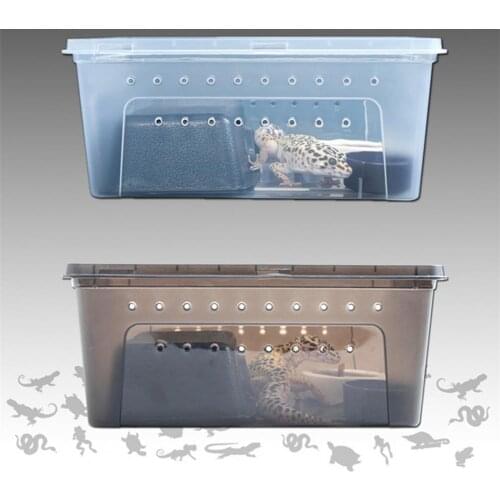 Feeding Lightweight Plastic Ventilation Holes Easy To Clean Solid Color Feeding Hatching Safety Portable Container For Lizard