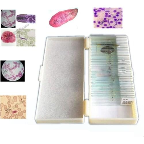 42PCS Prepared Parasitology Specimen Scetion Microscope Slides for Biology Study
